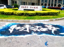 Drawing on the “Manhole Covers” : The Creative Scrawl on Neusoft Campus